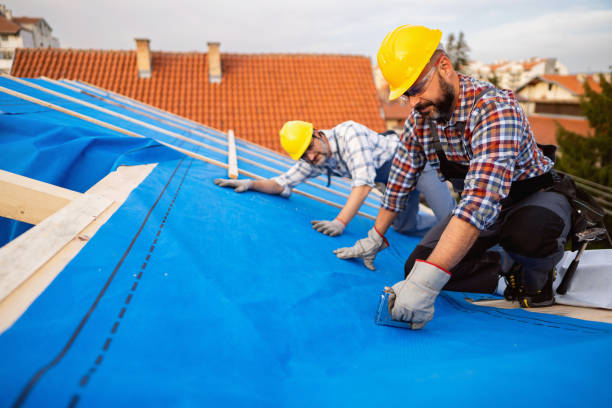 Best Roof Coating and Sealing  in North Zanesville, OH